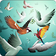 Download All Birds Wallpapers HD For PC Windows and Mac 1.0