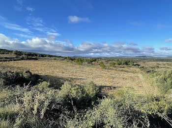 terrain à Sigean (11)