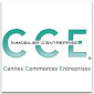 CCE IMMOBILIER D'ENTREPRISE Cannes