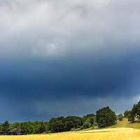 Blu Verde e Giallo di 