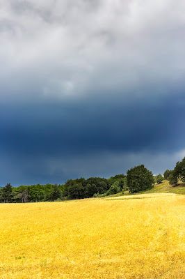 Blu Verde e Giallo di Franz78