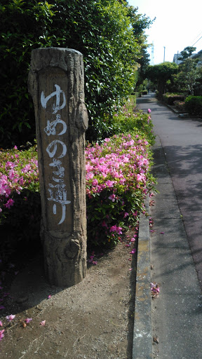 ゆめのき通り 終点