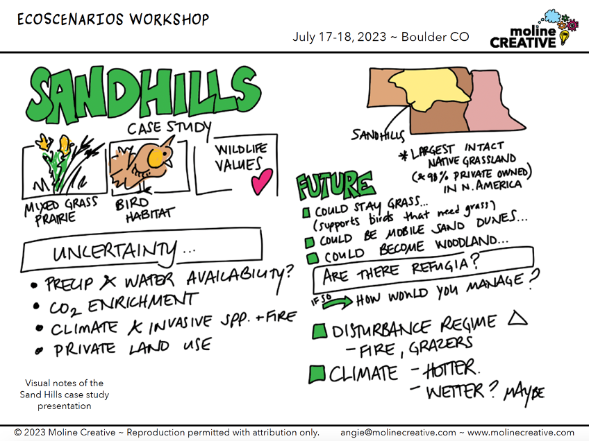 Example of Angie Moline’s visual note-taking, showing discussion of Sandhills case study. Drawings show mixed grass prairie, bird habitat, and heart to represent wildlife values. Also includes doodled map of Montana, showing the Sandhills region in the north central part of the state. Text reads, “Largest intact native grassland in North America – 98% private owned.  Under heading “Uncertainty,” bullet points read: precip x water availability; carbon dioxide enrichment; climate x invasive species and fire; and private land use. Under heading “Future,” bullet points read: could stay grass (supports birds that need grass); could be more sand dunes; could become woodland. Under heading, “Are There Refugia,” bullet points read: If so, how would you manage; disturbance regime causes changes to fire and grazers; and climate – hotter or wetter. 