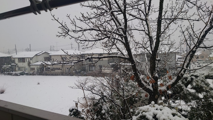 オデッセイの雪に関するカスタム事例の投稿画像5枚目