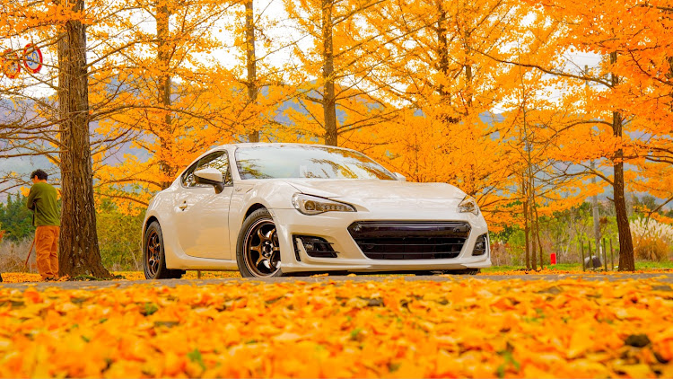 86の2024ベストショット11月・86/BRZ・イチョウ並木に関するカスタム事例の投稿画像2枚目