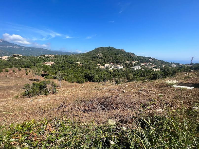 Vente terrain  12870 m² à Sari-Solenzara (20145), 1 127 000 €