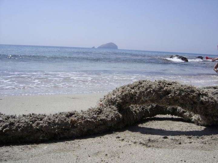 Il mare e la gomena di enrrico63