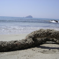 Il mare e la gomena di 