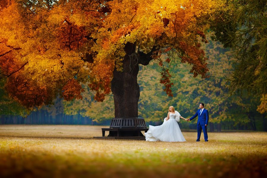 Fotografer pernikahan Tatyana Kozhukhar (tmkozhukhar). Foto tanggal 19 Oktober 2017