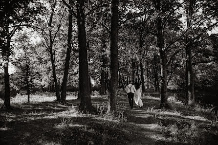 結婚式の写真家Dmitriy Titov (sushniak)。2017 9月19日の写真