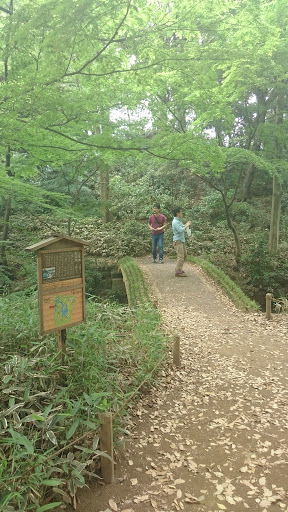 山陰橋