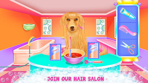 Cute Lady Labrador Caring