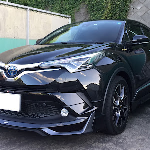 C-HR ZYX10