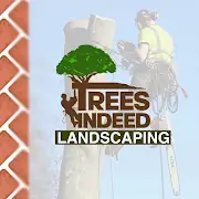 TREES INDEED LTD Logo