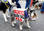 Anti-Brexit protesters and their dogs joined a march called 'Wooferendum