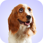 Cover Image of ดาวน์โหลด Dog Whining Sounds 1.0 APK