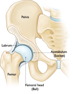 hip-pain-in-plantation.jpg