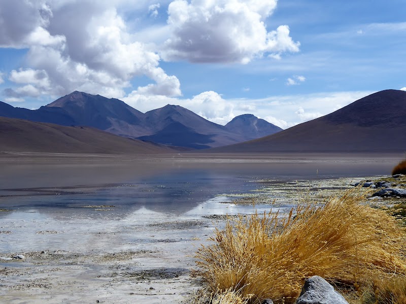 LAGUNAS DE COLORES:RESERVA NACIONAL DE FAUNA ANDINA EDUARDO AVAROA. BOLIVIA - CHILE: Atacama ( con extensión a Uyuni) y Carretera Austral (7)