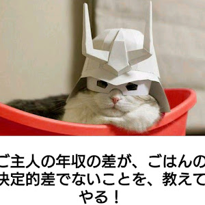 フィット