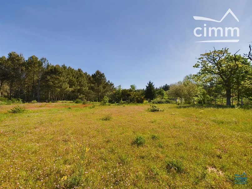 Vente terrain à batir  8297 m² à Longué-Jumelles (49160), 60 000 €