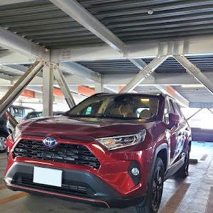 RAV4 AXAH52