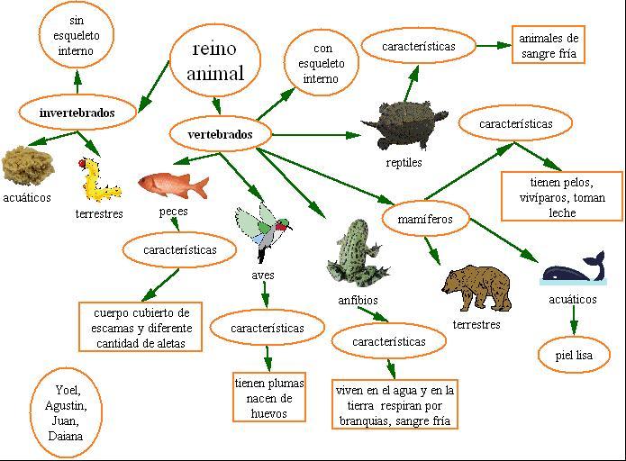 http://www.escuelapedia.com/wp-content/uploads/Reino-Animal.jpg