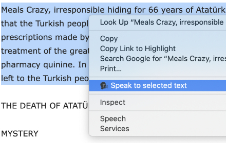 Selected text to speech Preview image 0