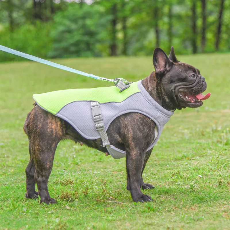 Gilet Rafraîchissant d'Été pour Chiens Vêtements Frais Respirants Résistants à la Chaleur Protection Solaire pour Petits et Grands Chiens Activités Extérieures