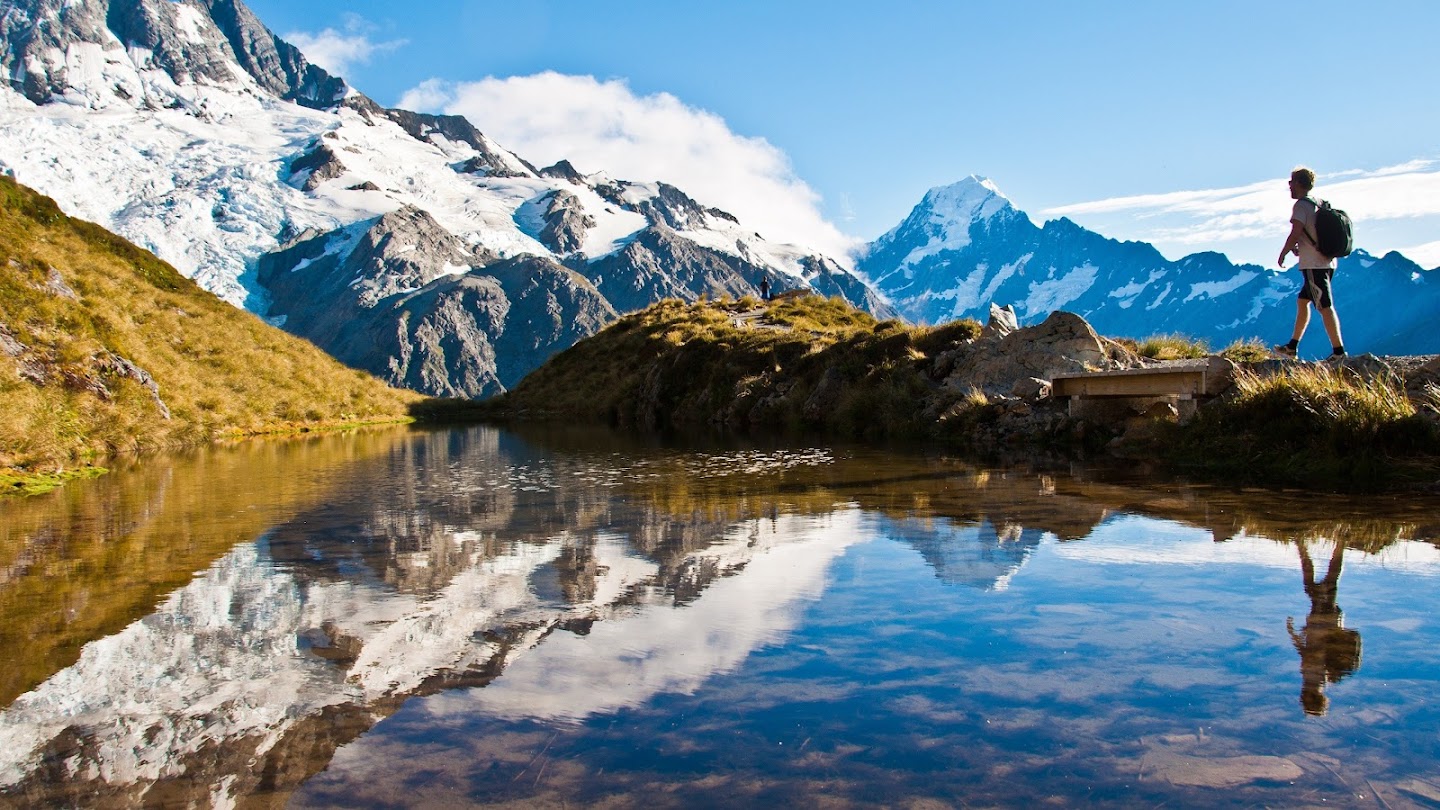 Watch Into the Wild New Zealand live