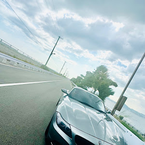 Z4 ロードスター sDrive 35i