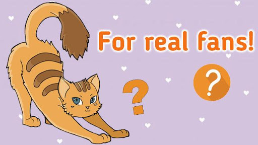 Cat breed quiz guess the cats