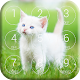 Download Kitten Lock Screen For PC Windows and Mac 1.0