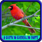 O CANTO DO CARDEAL DO NORTE 1.0 Icon