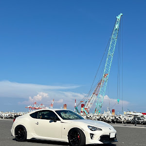 86 ZN6