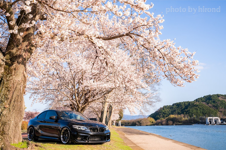 M2 クーペのサクラと愛車・桜・桜とコラボ🌸・桜とコラボ・discover＿ctに関するカスタム事例の投稿画像1枚目