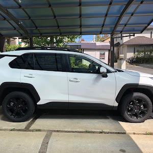 RAV4 MXAA54