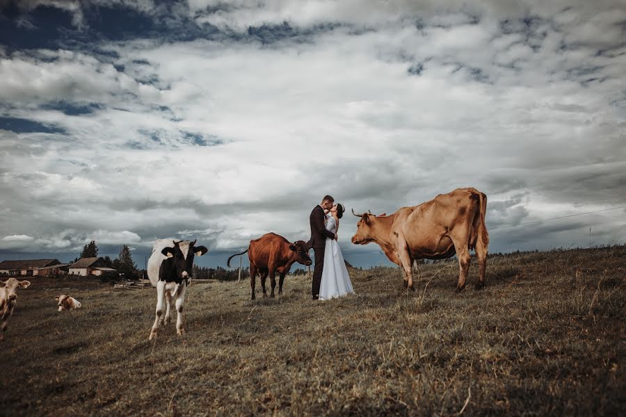 Весільний фотограф Анна Кузьмина (xrustja6ka). Фотографія від 16 жовтня 2019