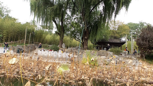 Bamboo Lake Beijing China 2015