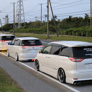 エスティマ ACR50W