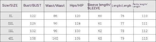 Title 4, Autumn New Womens Plus Size Two-piece Set Soli...