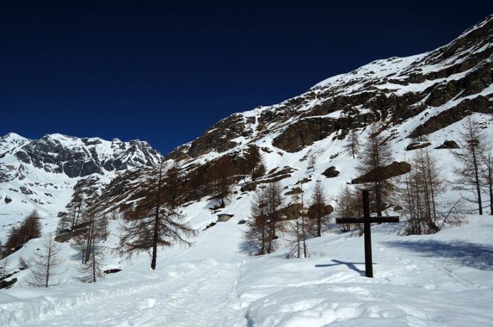 Nel silenzio della montagna... di Federico Faletto