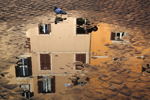 A spasso sulle finestre di Luporosso