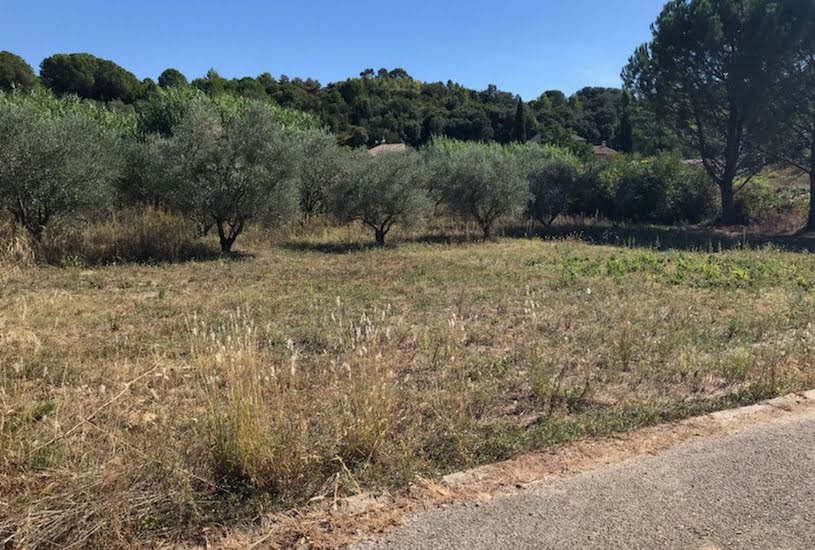  Vente Terrain à bâtir - 350m² à Sainte-Croix-de-Quintillargues (34270) 