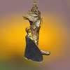 Bagworm Moth (male)