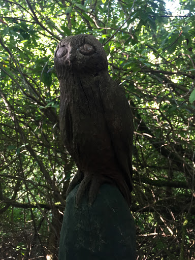 Owl Carving 