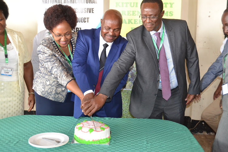 The Transnzoia agriculture executive Maria Nzomo, Kitui deputy governor Wathe Nzau and a consultant dr. micheal nhuguna cut a Ndengu cake during the Ndengu stakeholder’s forum held at the Kitui Kefri centre on Wednesday.