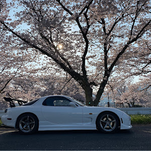 RX-7 FD3S 中期