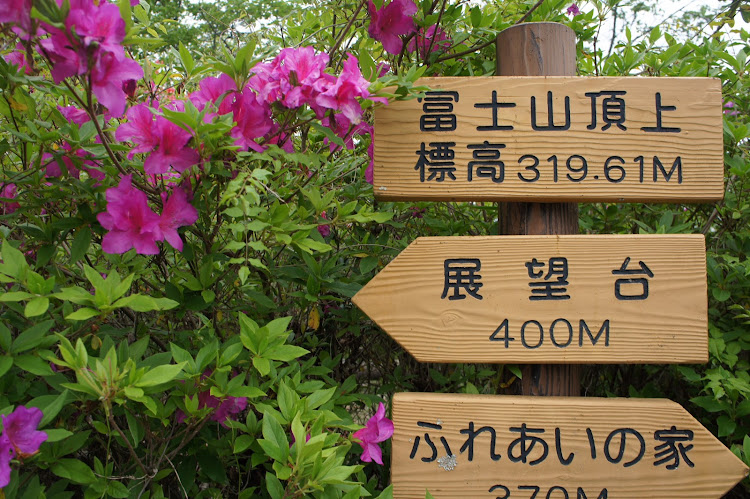 S660のドライブ・ツツジ・冨士山に関するカスタム事例の投稿画像2枚目