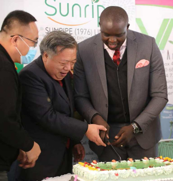 Chinese Embassy minister counsellor Zhang Yijin cuts a trade relations cake cooked with avocado together with Trade Chief Administrative Secretary David Osiany at Sunripe company in Bibirioni ward, Kiambu county, on Tuesday.