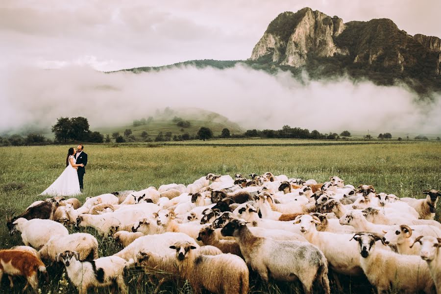 Fotograful de nuntă Haitonic Liana (haitonic). Fotografia din 21 iunie 2018